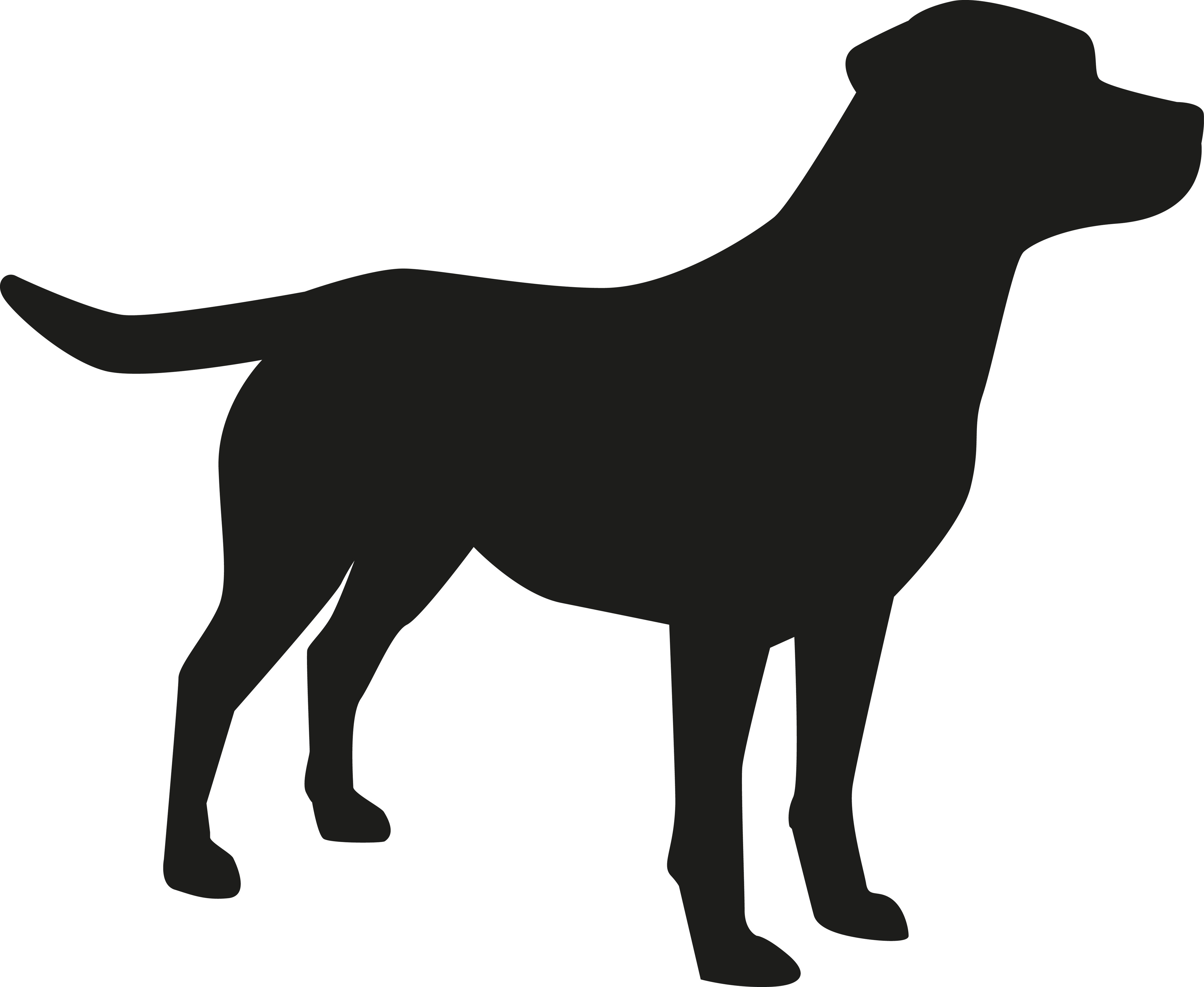 Dog silhouette